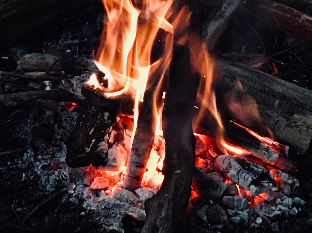 Dixon Lake Resort Motel主图