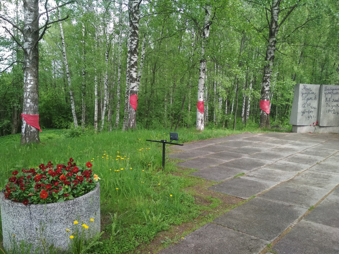 Memorial Flower of Life景点图片