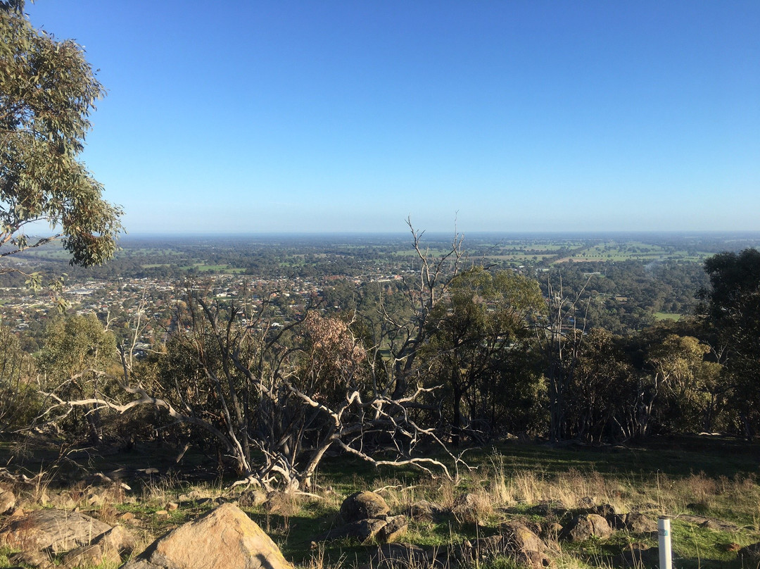 Balmattum Hill Walking Track景点图片
