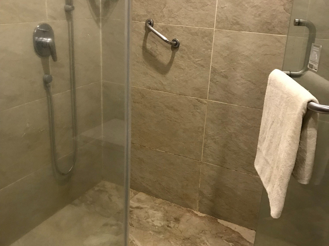 Hotel Central Park主图