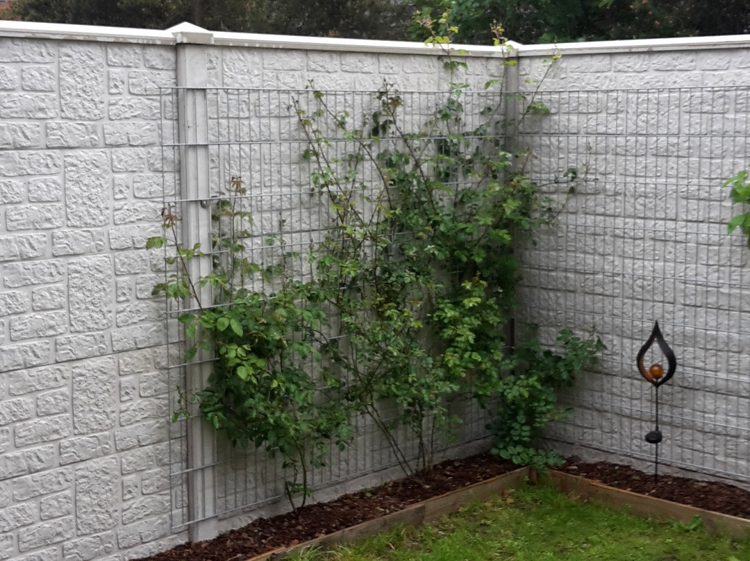 Captain Pahlen Ferienanlage主图