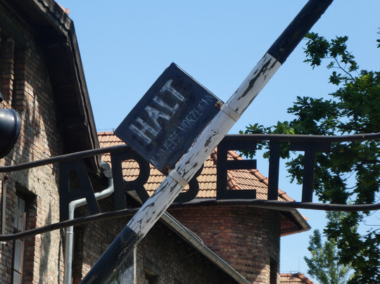 Poland Active - Day Tours-克拉科夫必去景点