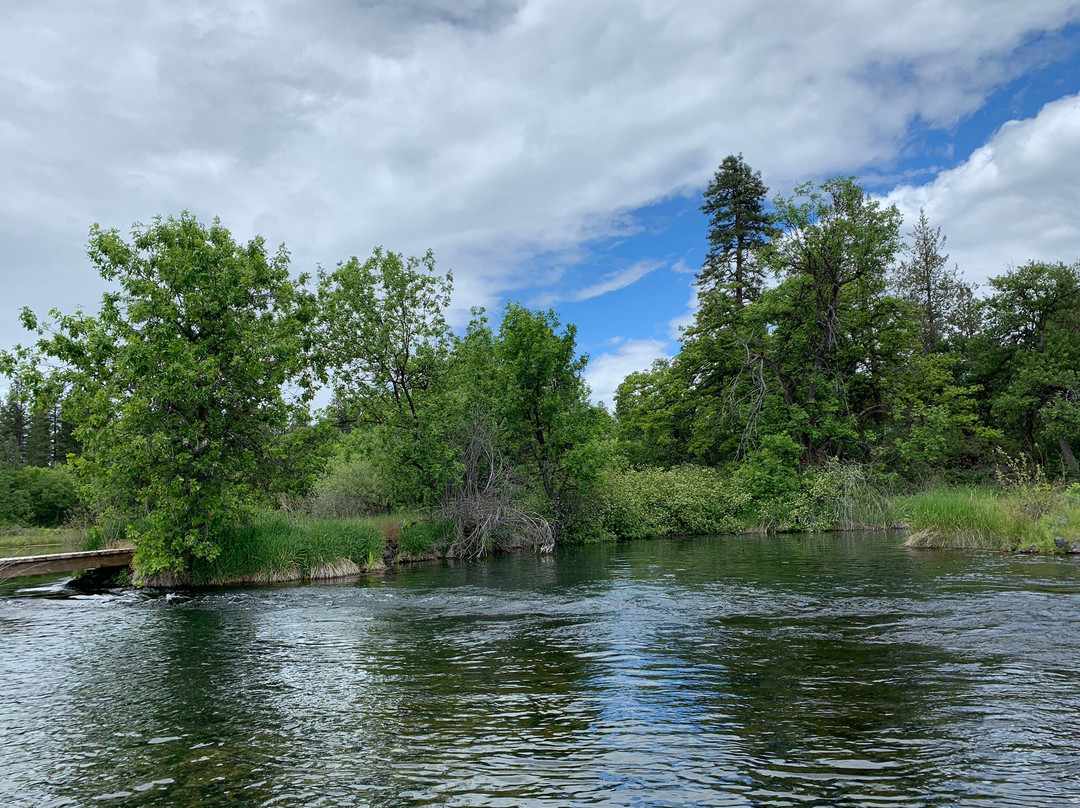 Clearwater Lodge at the Pit River主图