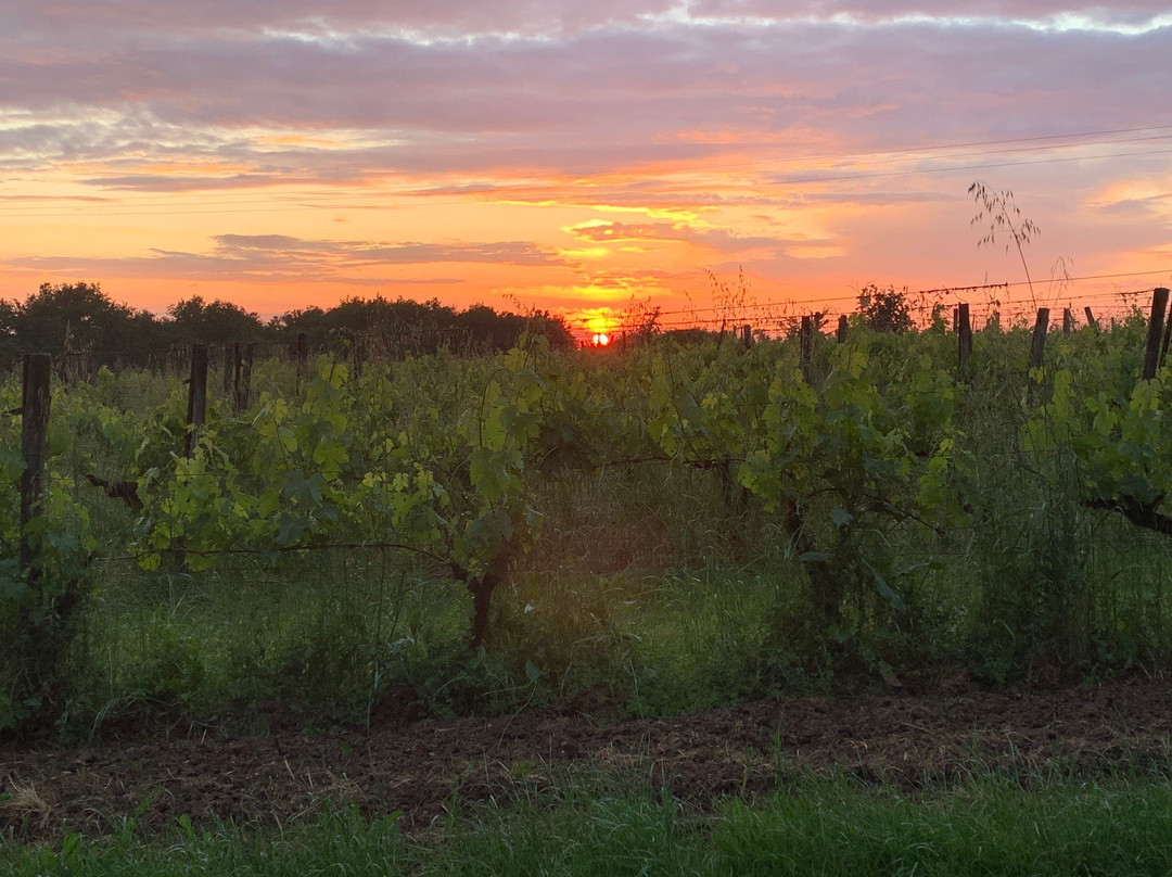 La Petite Girondine, La Suite...主图