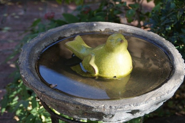 Aasvoelkrans Bed and Breakfast主图