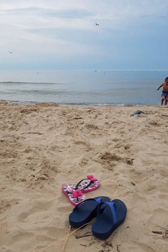 Silver Beach County Park-Saint Joseph必去景点