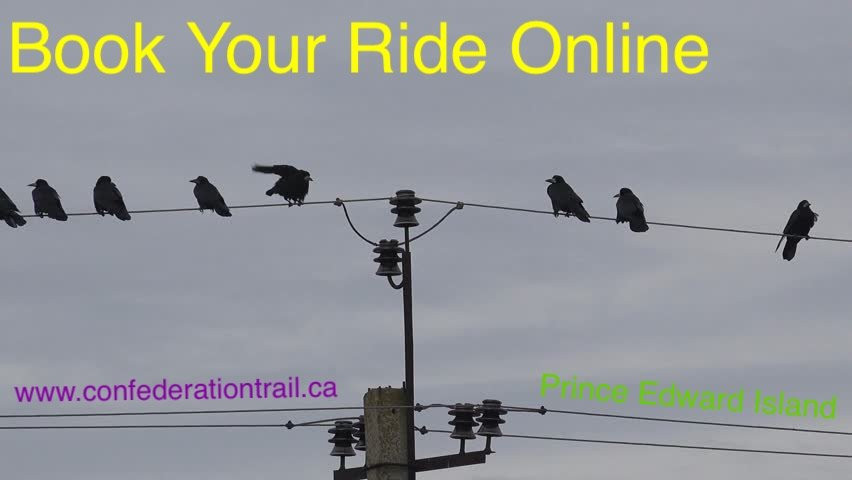 Confederation Trail Bike Rental Adventures景点图片