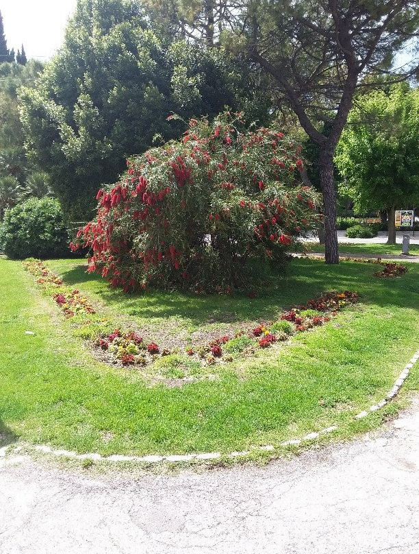 Piazza Cavour-安科纳必去景点