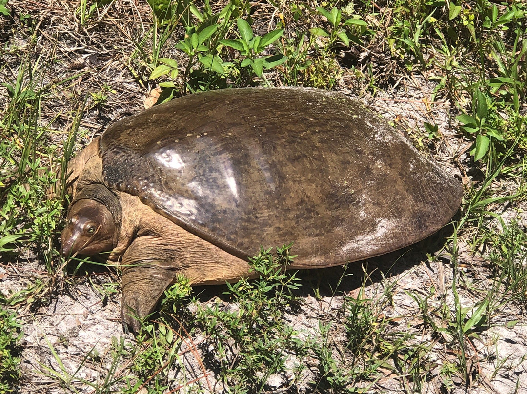 Riverbend Park-朱庇特必去景点