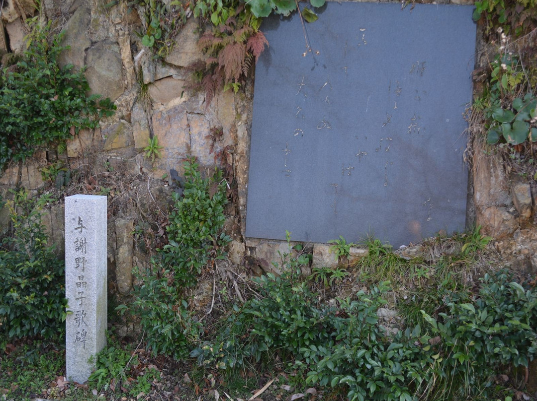 Kawanoe Castle-四国中央市必去景点