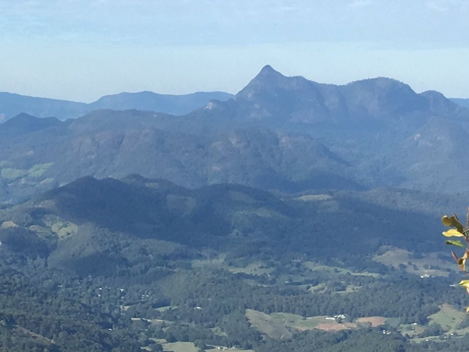 Antarctic Beech Trees-春之泉必去景点