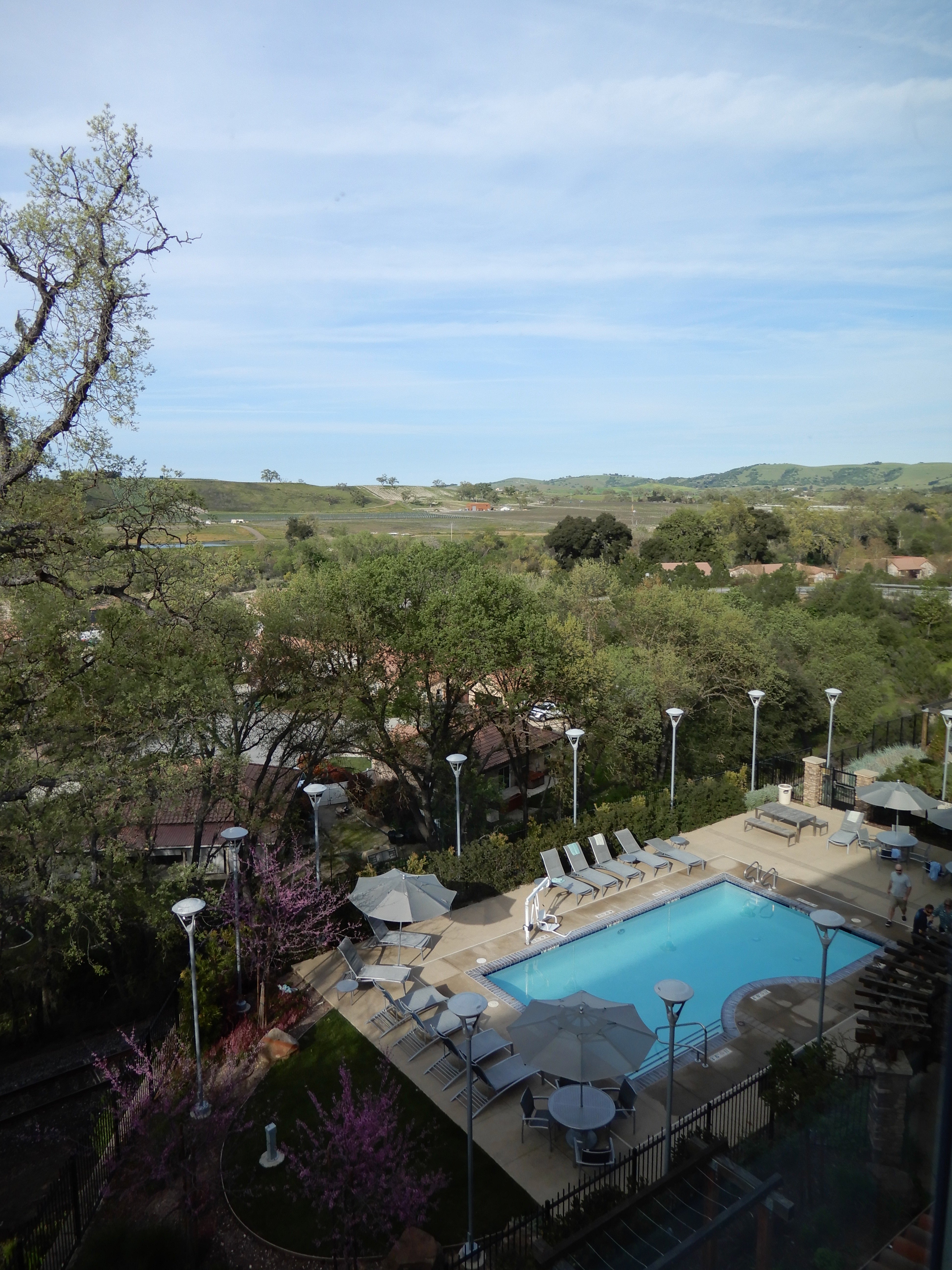 Springhill Suites Paso Robles Atascadero-酒店景观
