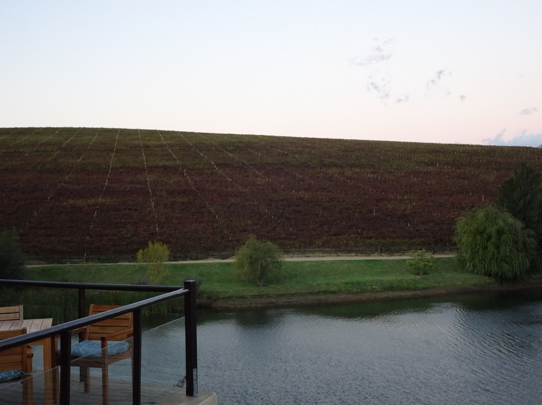 艾萨拉红酒酒店主图