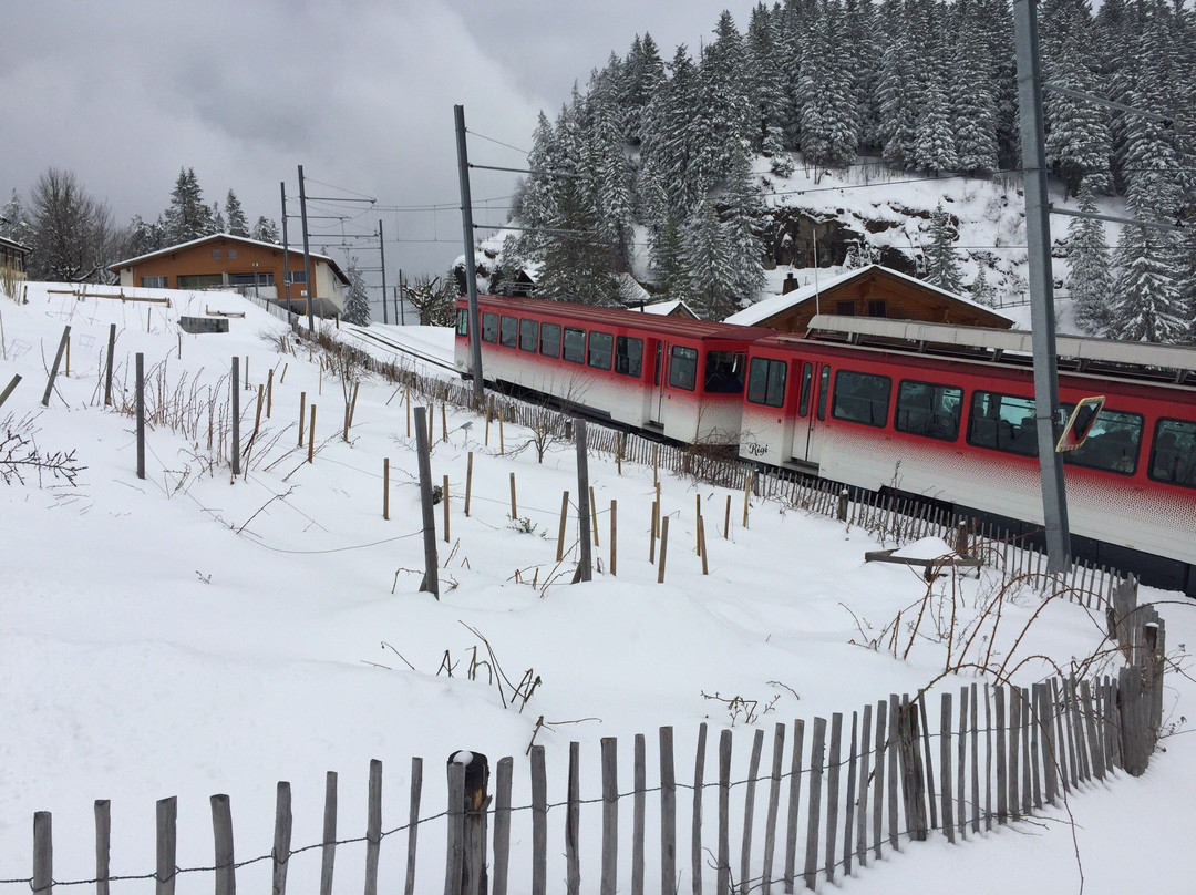 Rigi Scheidegg-Burggeist-Gersau必去景点