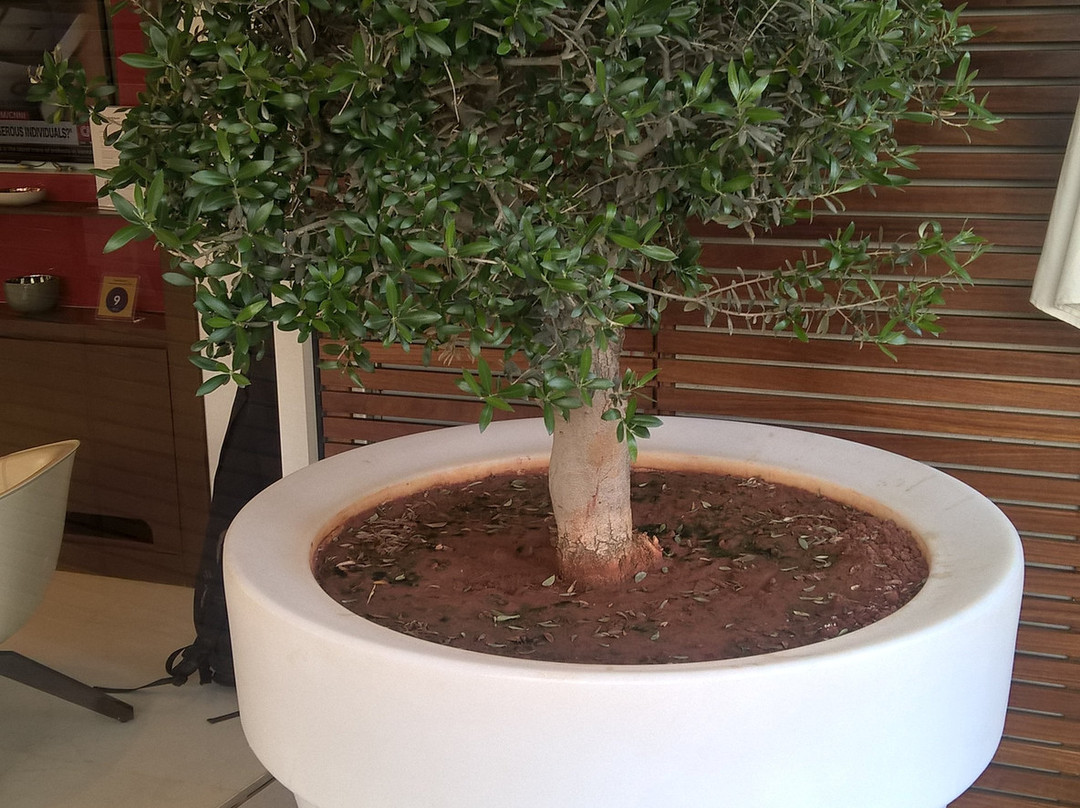 The Key ApartHotel主图