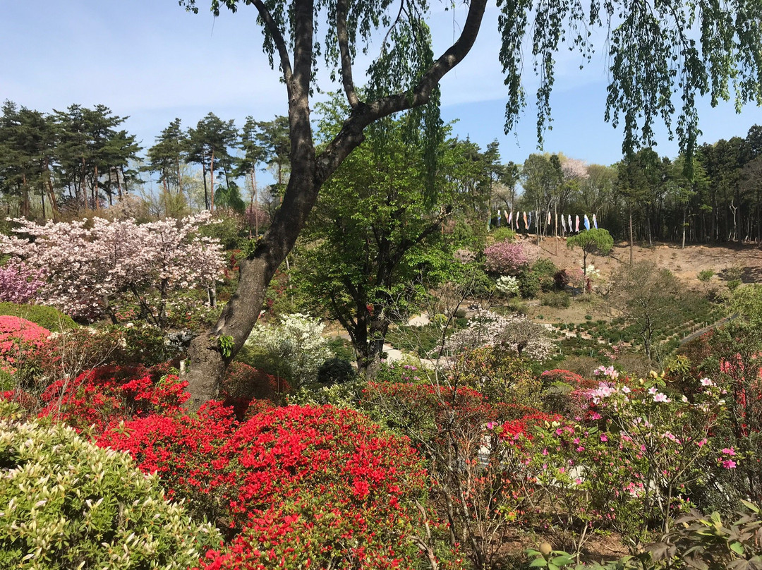 Okanbara Tsutsuji Garden-须贺川市必去景点