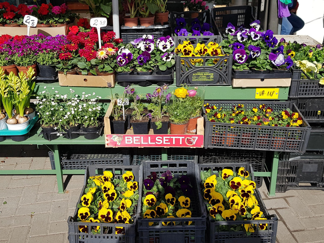 RigaTrips-里加必去景点