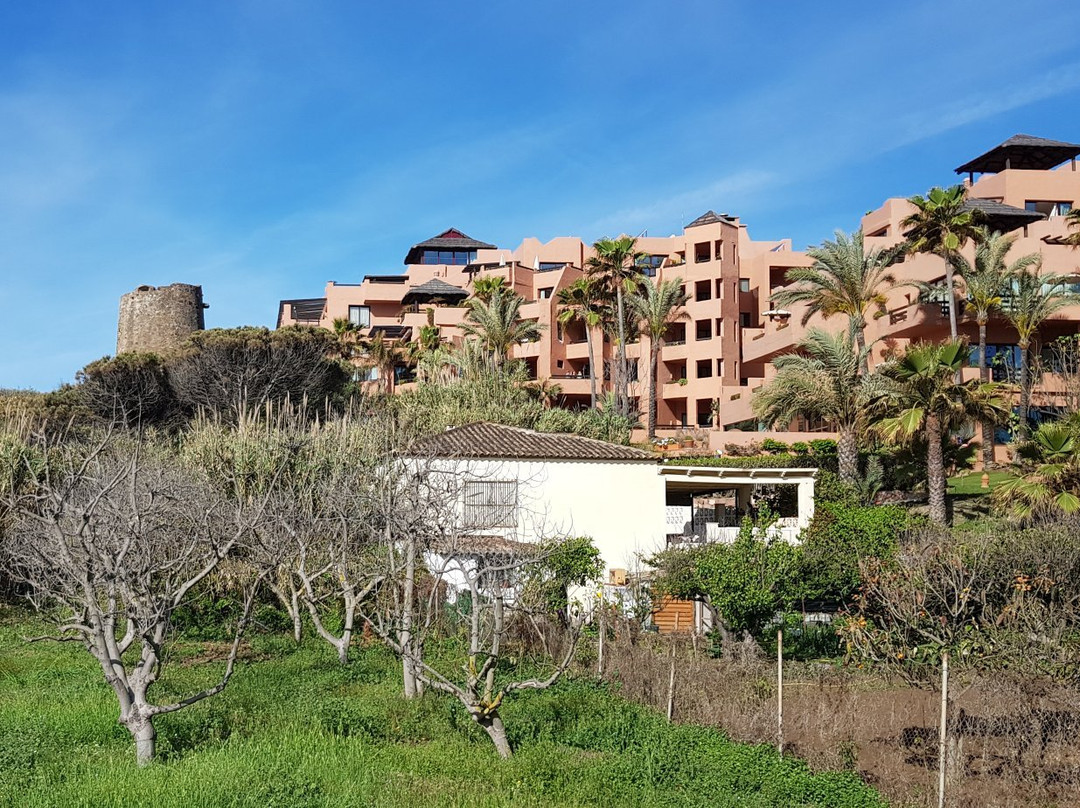 Torre del Padron景点图片