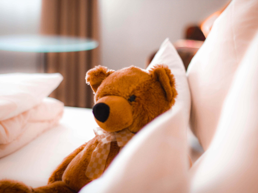 Landhotel Und Weingasthof Schwarzer Adler主图