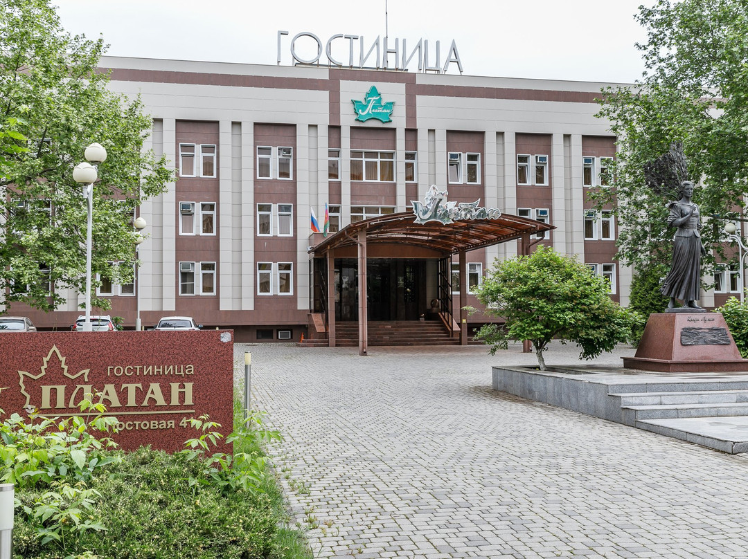 Platan Novy主图