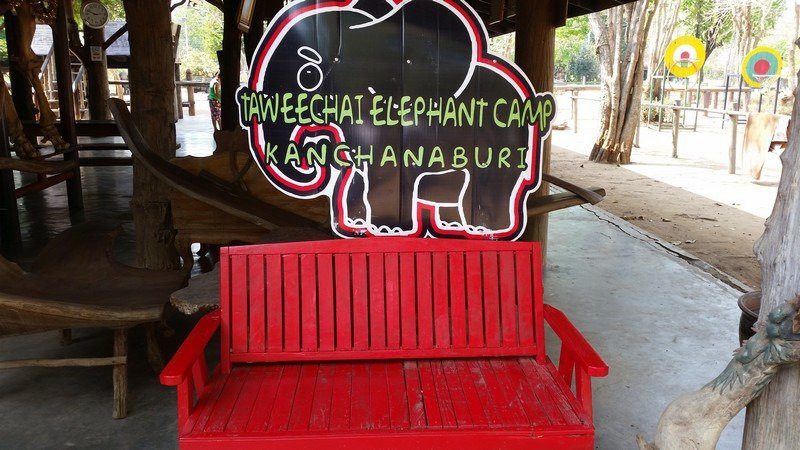 Taweechai Elephant Camp景点图片