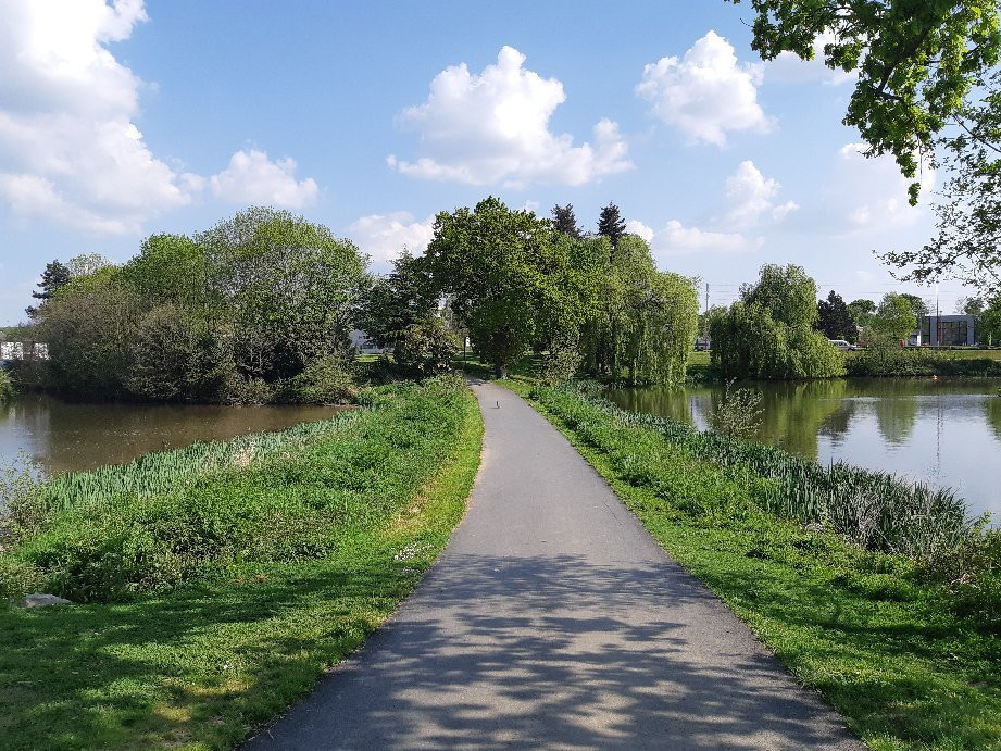 Parc de Champagne景点图片