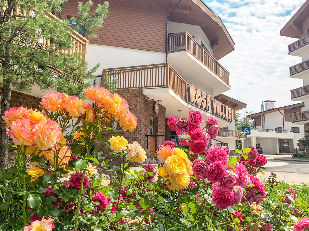 Rosa Village主图