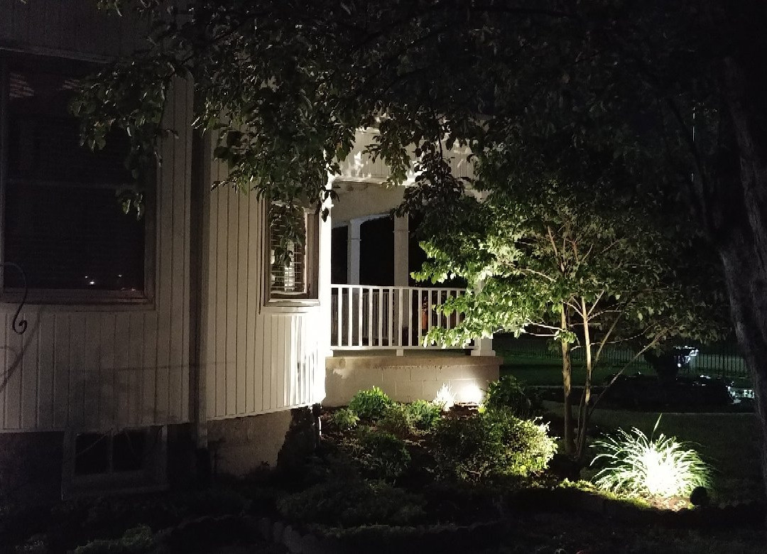 The Cobalt House