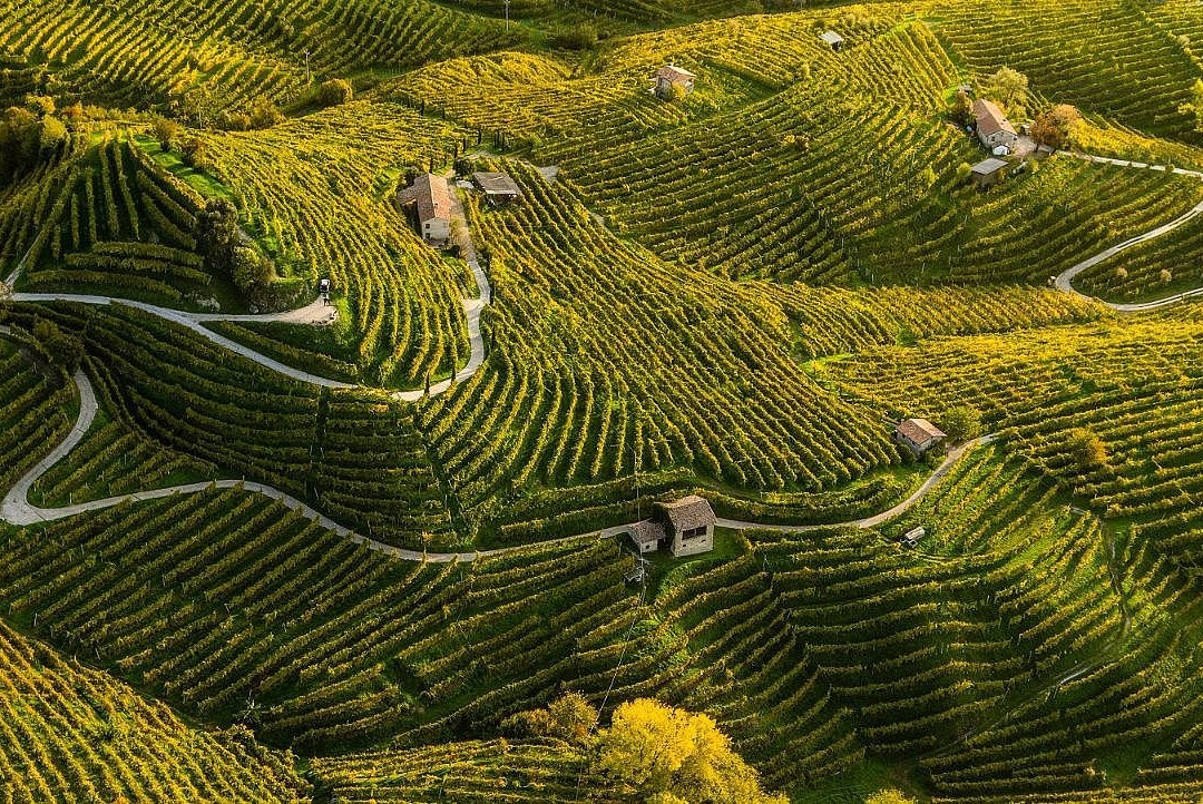 Venice Wine Tour-麦斯特必去景点