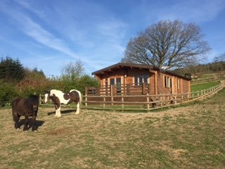 Long Mountain centre log cabins & Pony Trekking景点图片