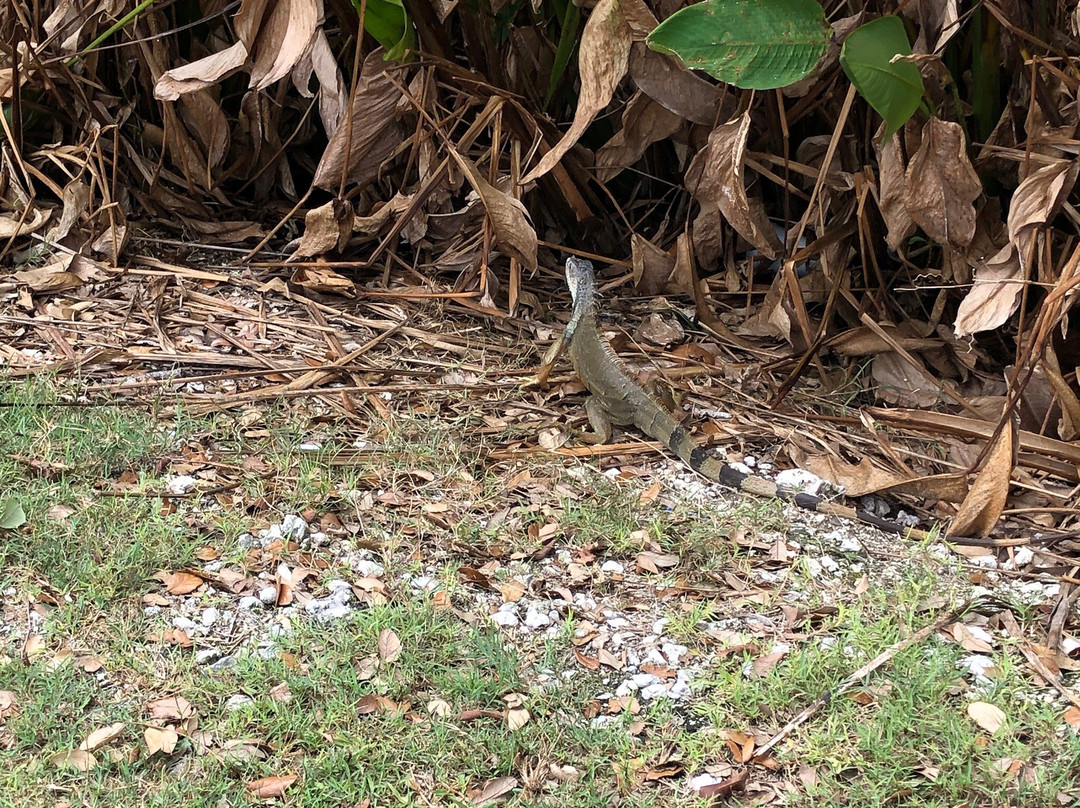 Club at Emerald Hills-好莱坞必去景点