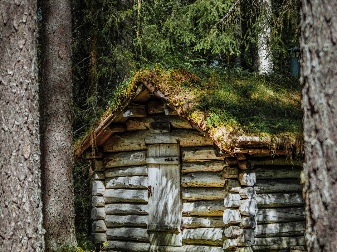 Norsk Skogmuseum-Elverum必去景点