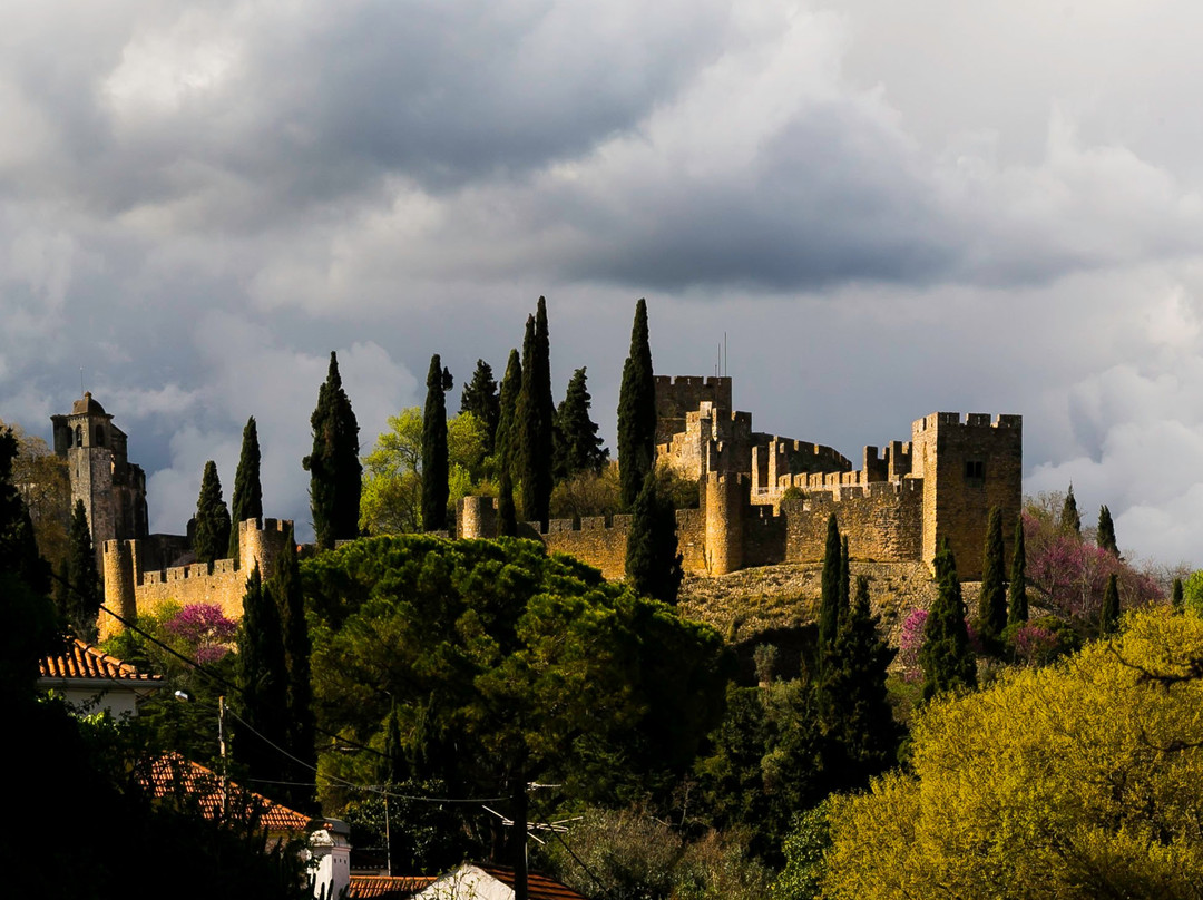 Castelo de Tomar景点图片