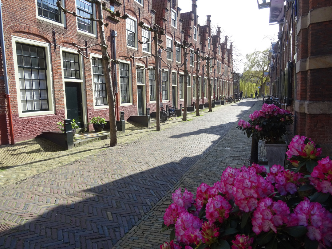 Gasthuis Huisjes (van het vroegere St. Elisabeth's Gasthuis)-哈勒姆必去景点