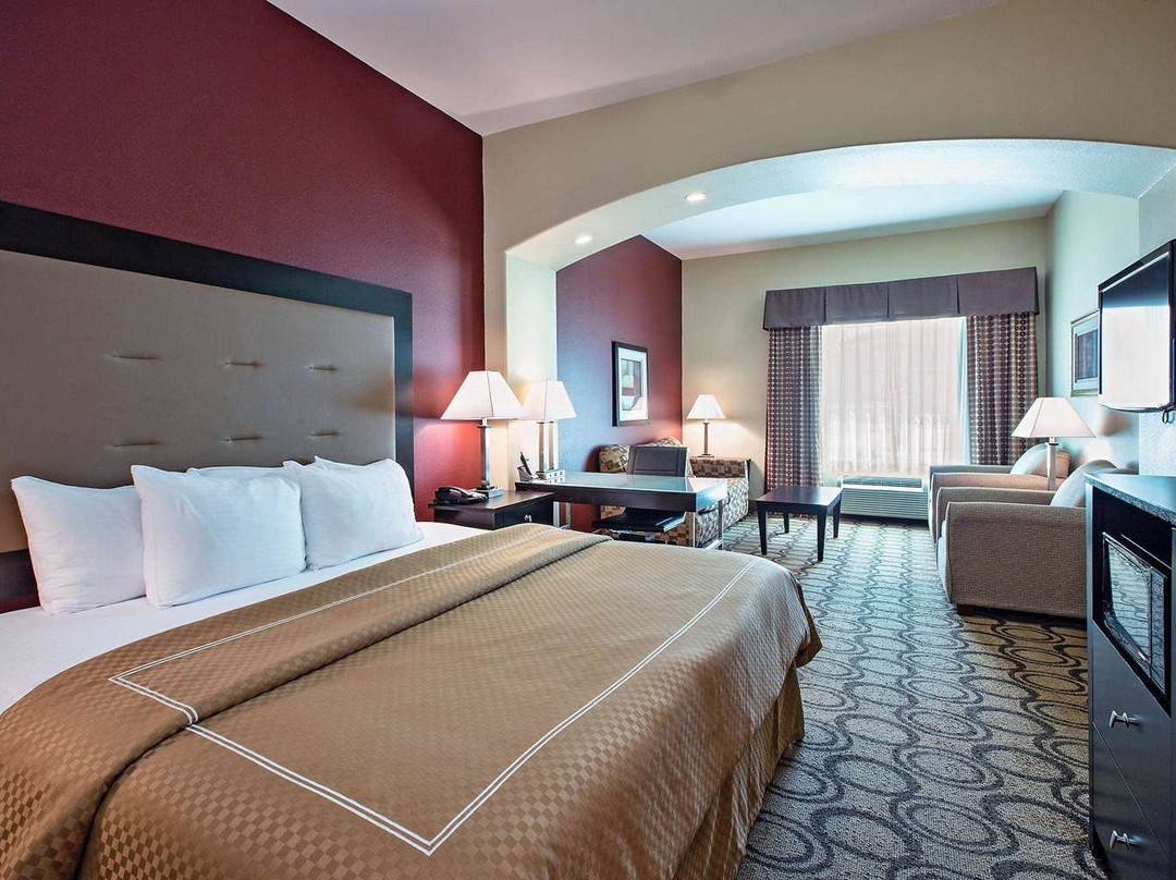 Comfort Inn & Suites New Iberia - Avery Island主图