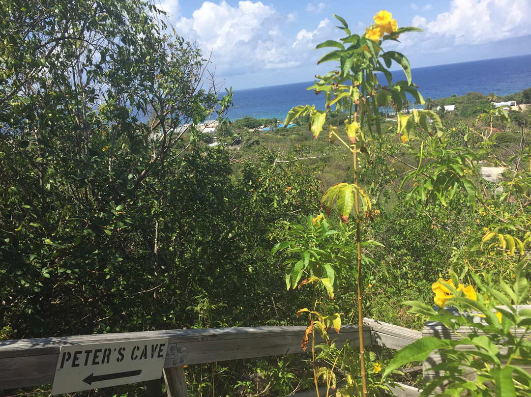 Peter's Cave-Cayman Brac必去景点