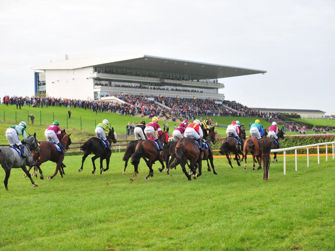 Limerick Racecourse景点图片