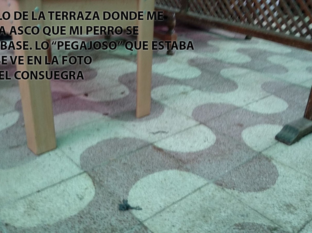 Hotel Consuegra主图