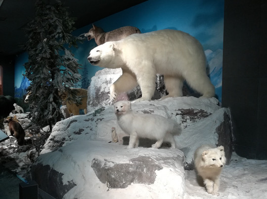 浙江自然博物馆-杭州市必去景点