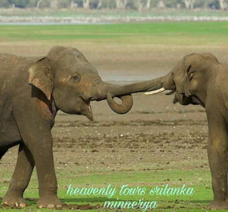 Heavenly Tours Sri Lanka sigiriya-锡吉里亚必去景点