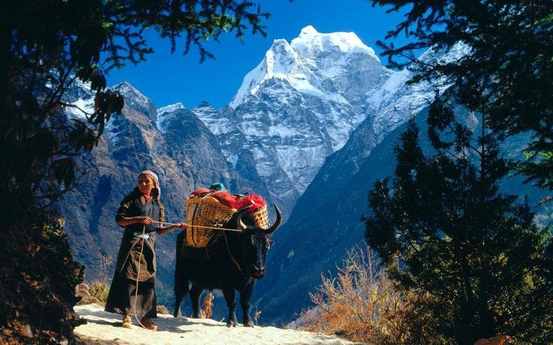 Skybuzz Travels and Tour Nepal-加德满都必去景点
