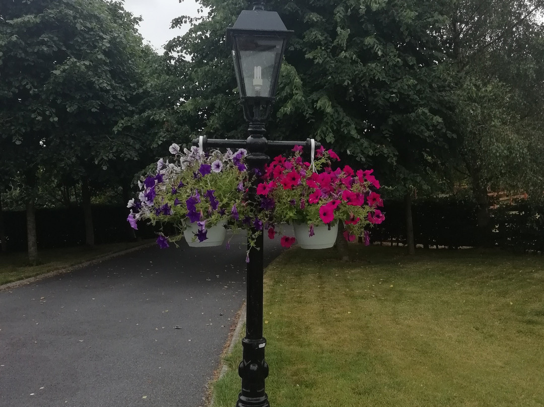 Tig na Coille B&B Country House主图