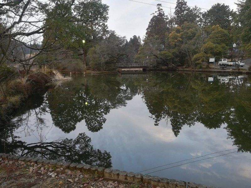 Ikenoyama Campsite