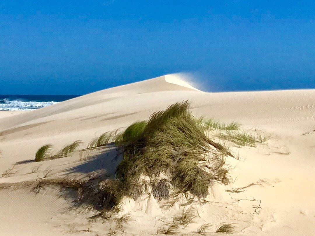 Oyster Kaya At Oyster Bay主图