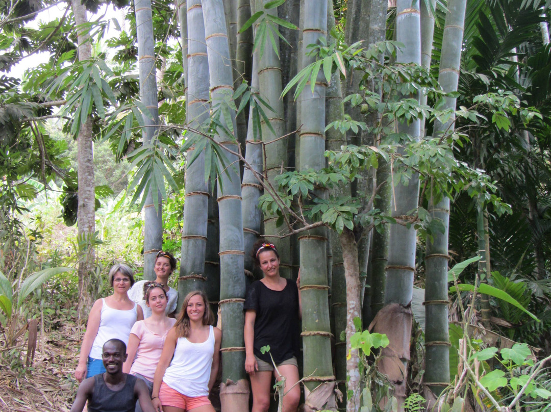 Aromaore-Ouangani必去景点