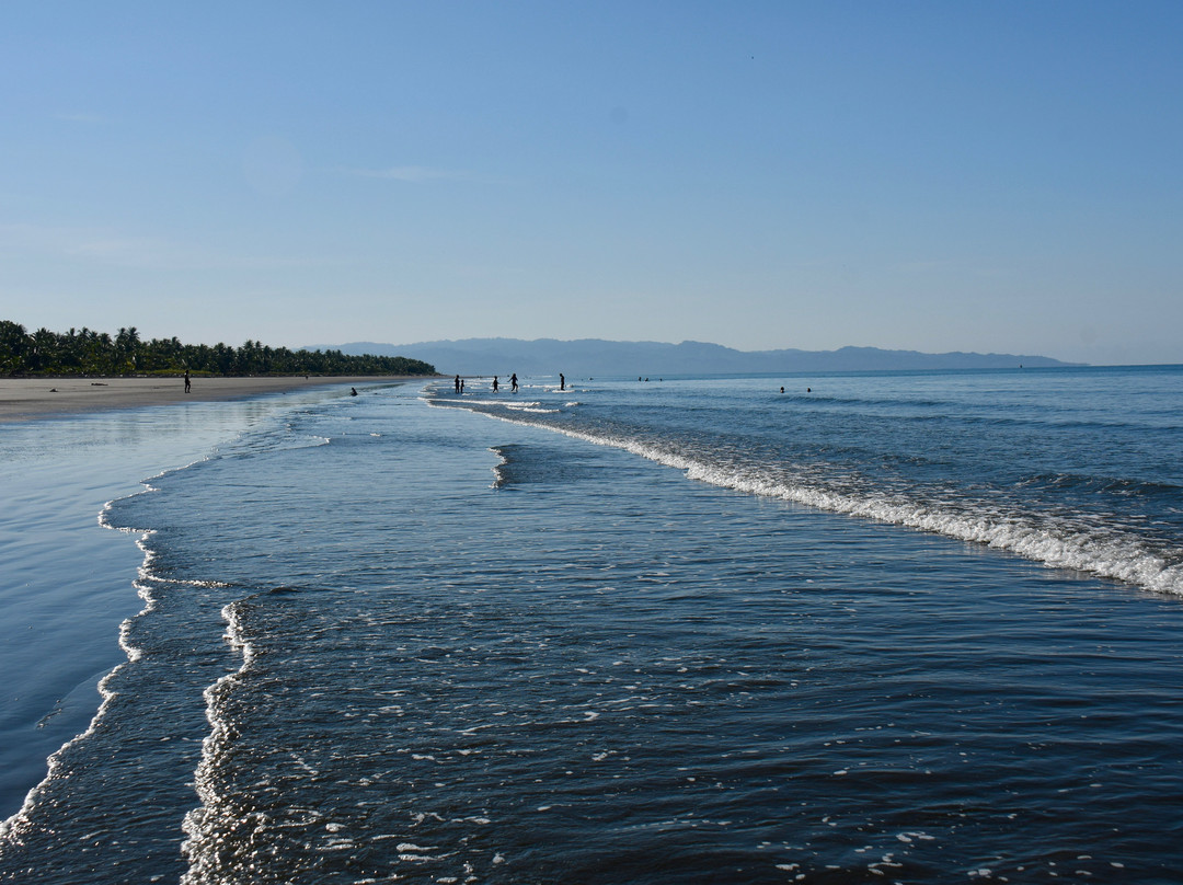 The Zancudo Lodge主图