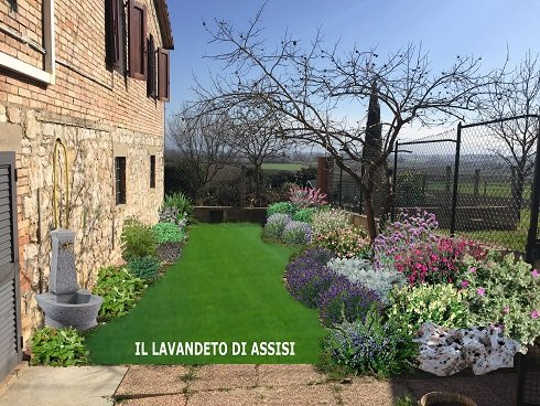 Il Lavandeto di Assisi giardino e vivaio景点图片