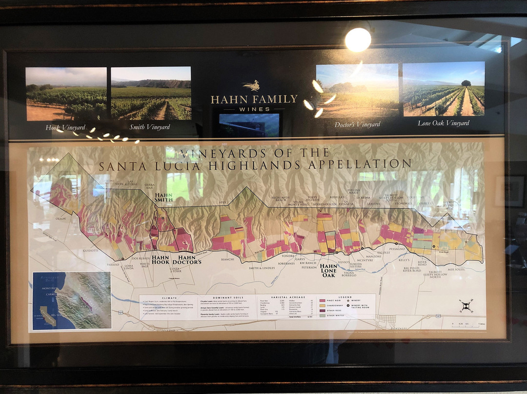 Hahn Estate Winery-Soledad必去景点