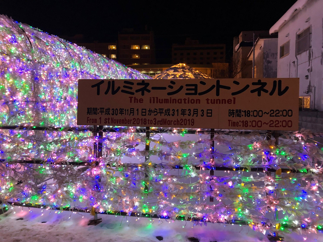 Toyako Onsen Illumination Tunnel-洞爷湖町必去景点