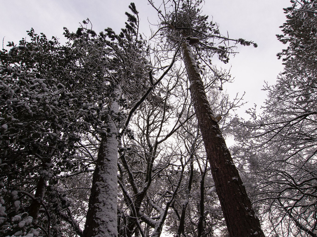 Bold Venture Park-Darwen必去景点